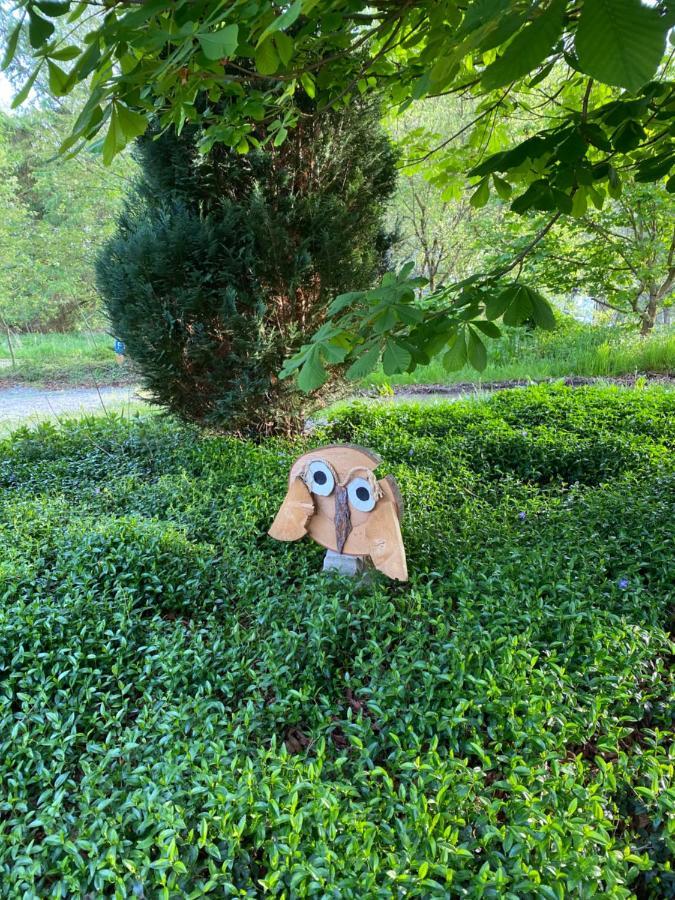 Lüdenscheid Urlaub In Der Natur מראה חיצוני תמונה