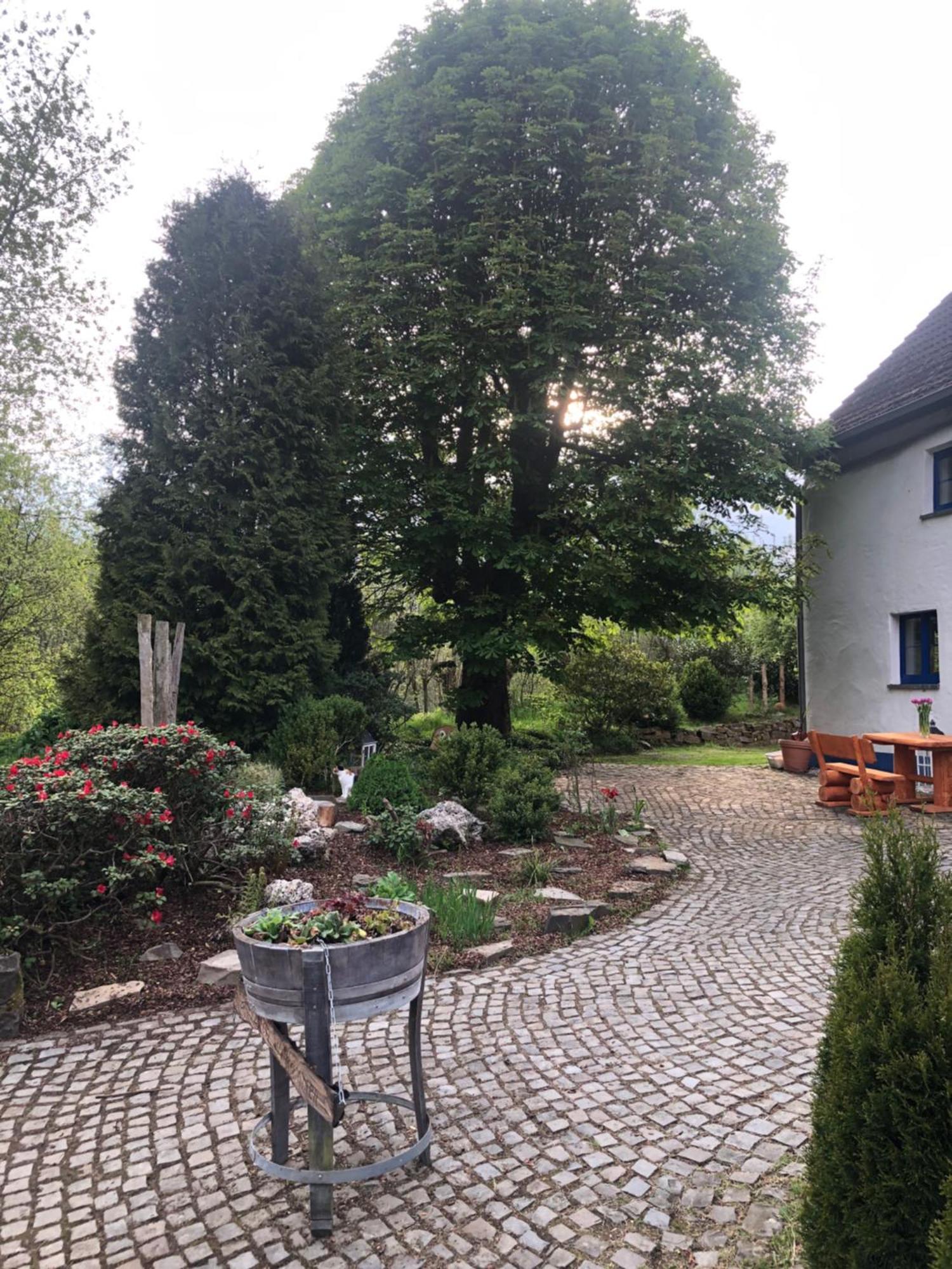 Lüdenscheid Urlaub In Der Natur מראה חיצוני תמונה